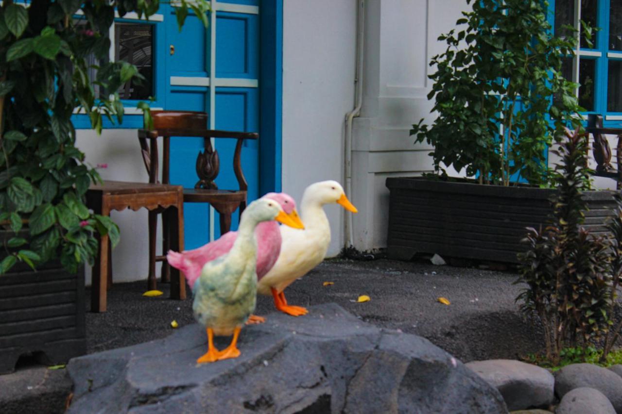 Hotel Merdeka Kediri Kediri  Dış mekan fotoğraf